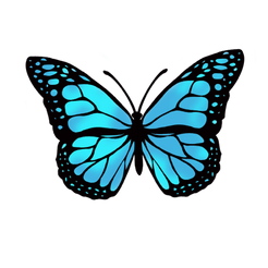 butterfly sticker waterproof – Hailey's Stickers